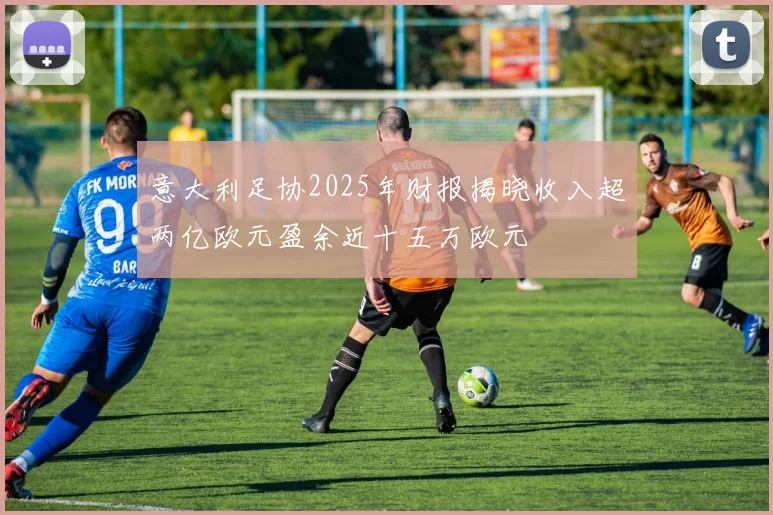 意大利足协2025年财报揭晓收入超两亿欧元盈余近十五万欧元
