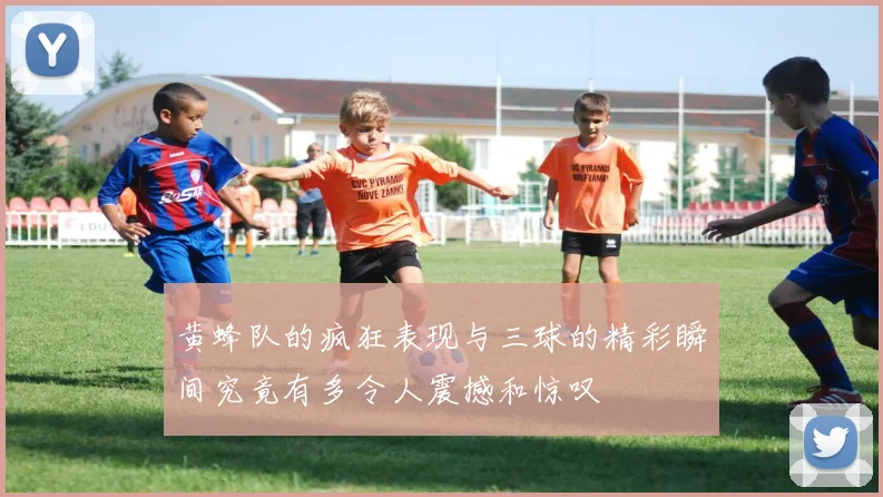 黄蜂队的疯狂表现与三球的精彩瞬间究竟有多令人震撼和惊叹